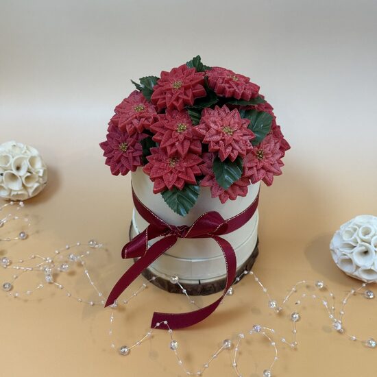 Ziemassvētku zvaigzne 