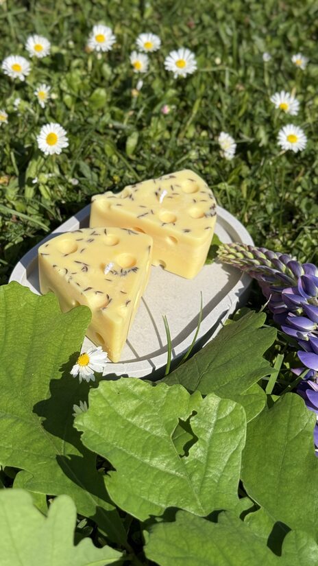 Siera gabaliņš pret odiem 